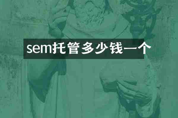 sem托管多少钱一个