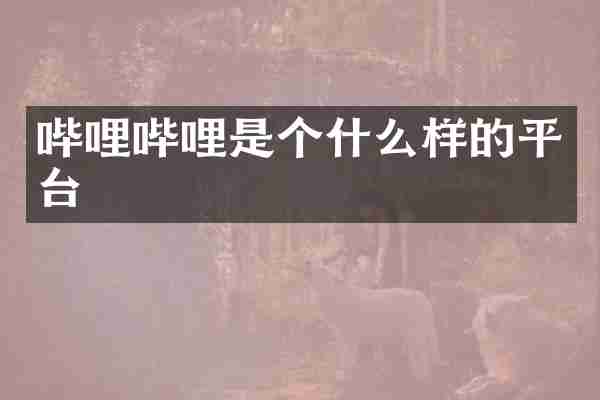 哔哩哔哩是个什么样的平台