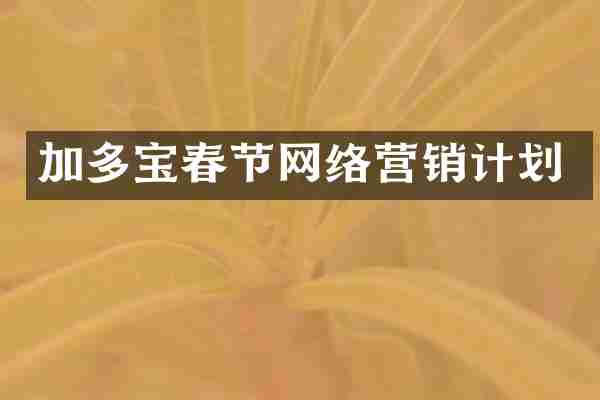 加多宝春节网络营销计划