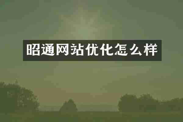 昭通网站优化怎么样