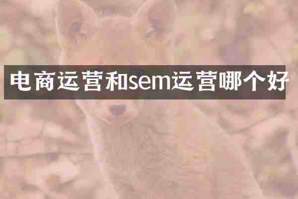 电商运营和sem运营哪个好