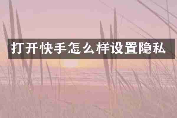打开快手怎么样设置隐私