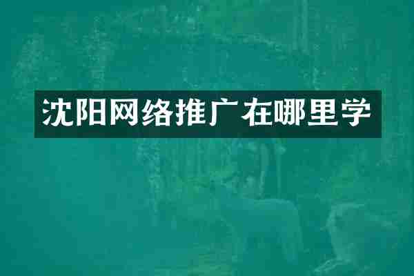 沈阳网络推广在哪里学