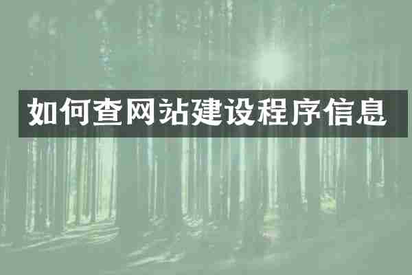 如何查网站建设程序信息