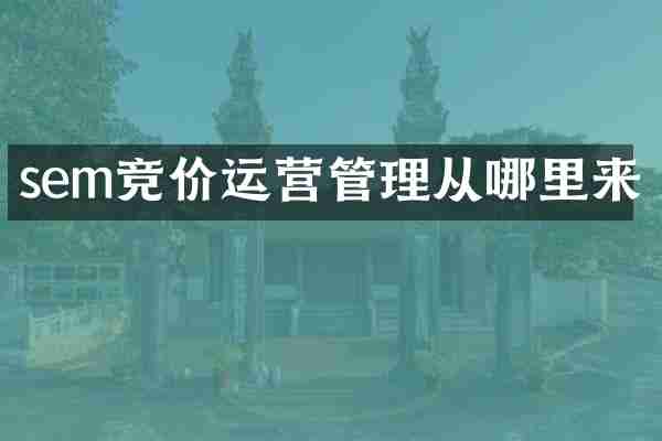 sem竞价运营管理从哪里来