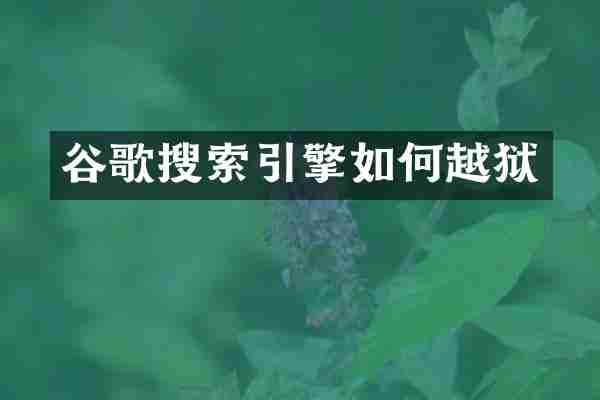 谷歌搜索引擎如何越狱