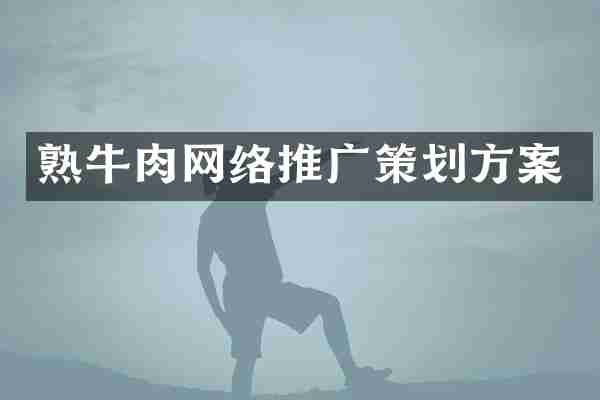 熟牛肉网络推广策划方案