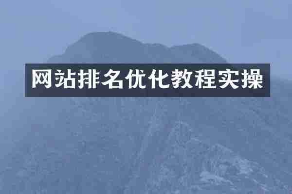 网站排名优化教程实操