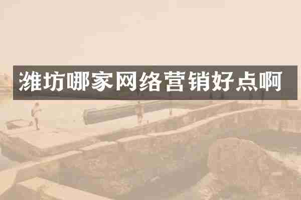 潍坊哪家网络营销好点啊
