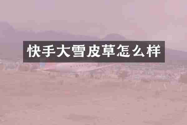 快手大雪皮草怎么样
