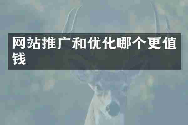 网站推广和优化哪个更值钱