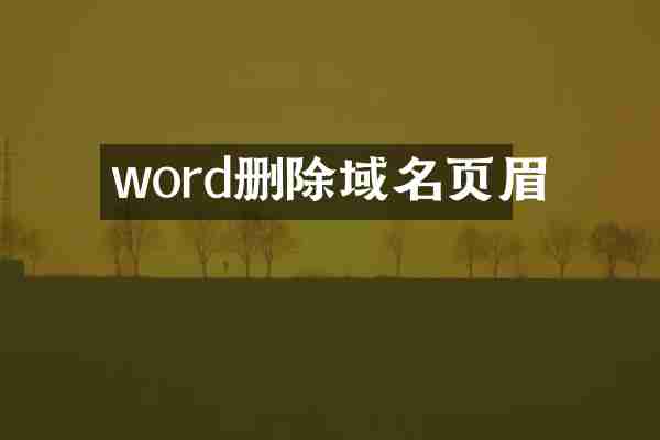 word删除域名页眉