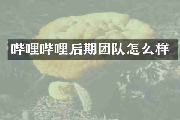 哔哩哔哩后期团队怎么样