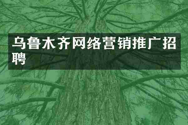 乌鲁木齐网络营销推广招聘