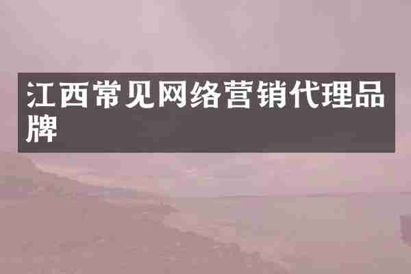 江西常见网络营销代理品牌