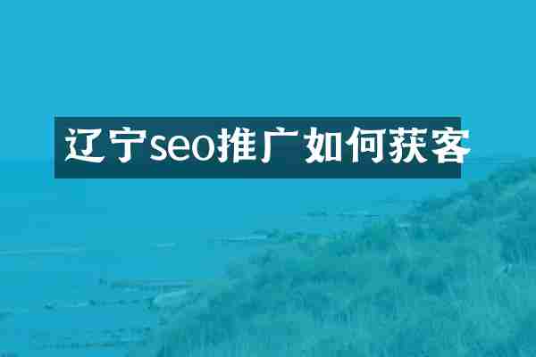 辽宁seo推广如何获客