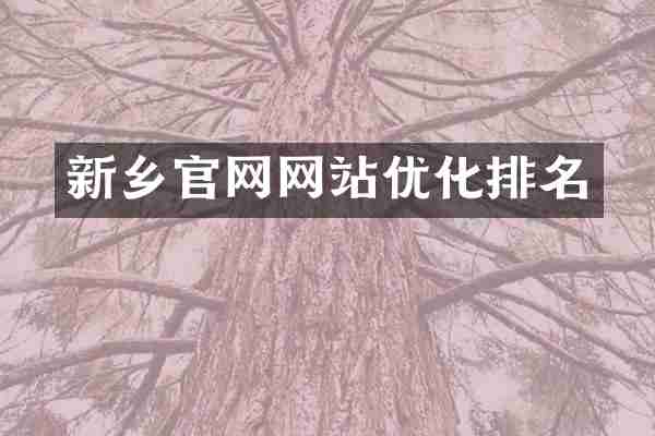 新乡官网网站优化排名