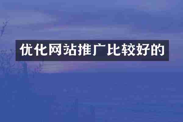 优化网站推广比较好的