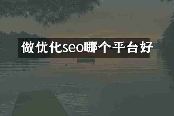 做优化seo哪个平台好