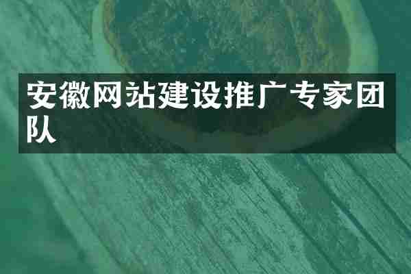 安徽网站建设推广专家团队