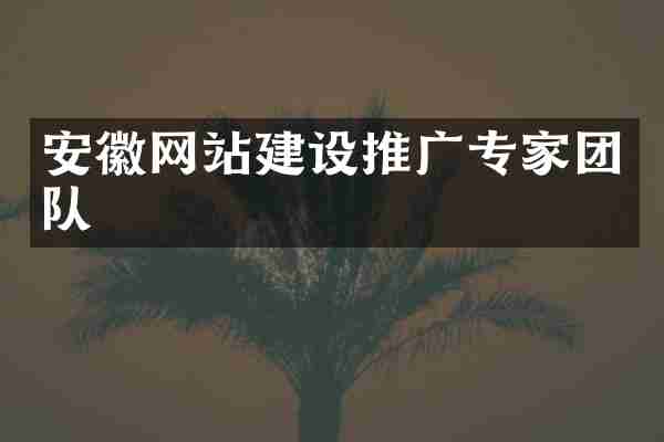 安徽网站建设推广专家团队
