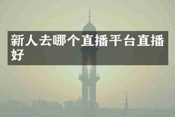 新人去哪个直播平台直播好