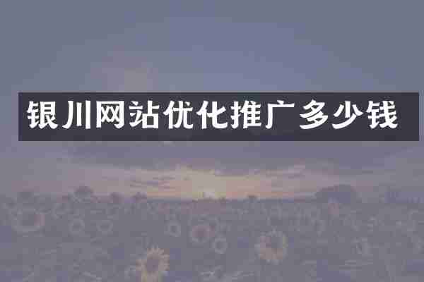 银川网站优化推广多少钱