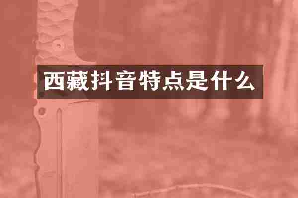 西藏抖音特点是什么