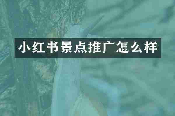 小红书景点推广怎么样