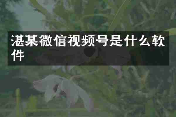 湛某微信视频号是什么软件