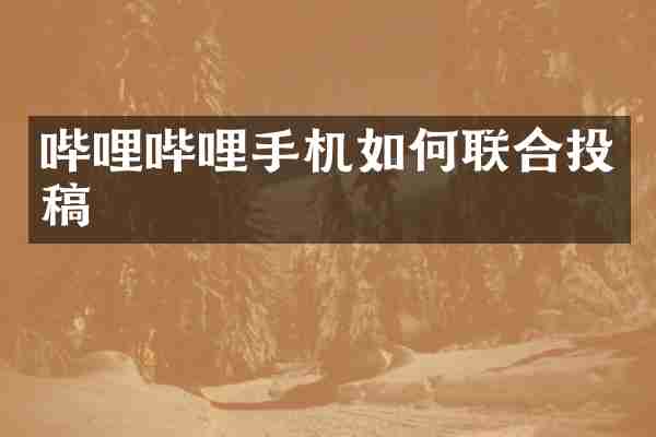 哔哩哔哩手机如何联合投稿