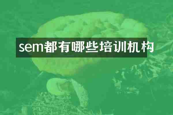sem都有哪些培训机构