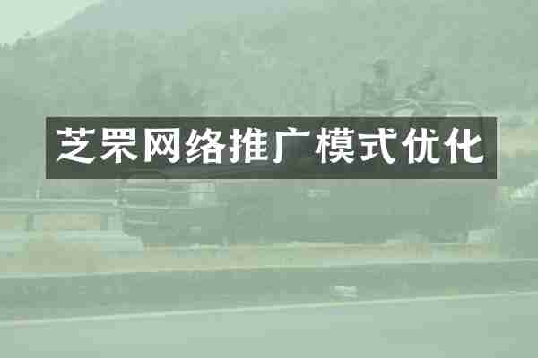 芝罘网络推广模式优化