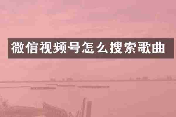 微信视频号怎么搜索歌曲