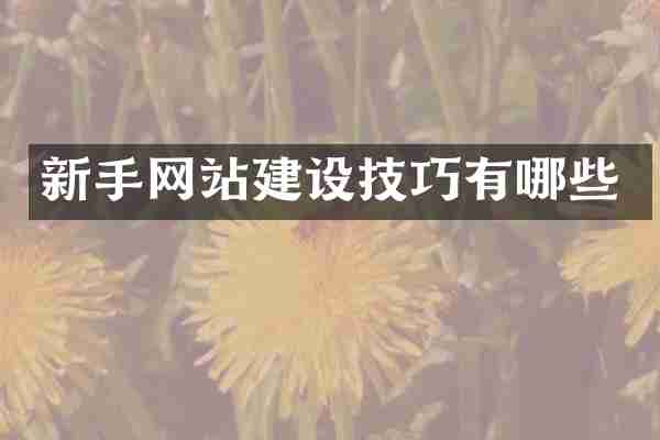新手网站建设技巧有哪些
