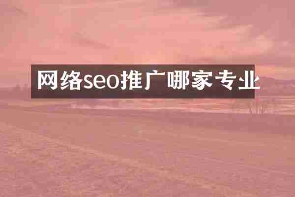 网络seo推广哪家专业