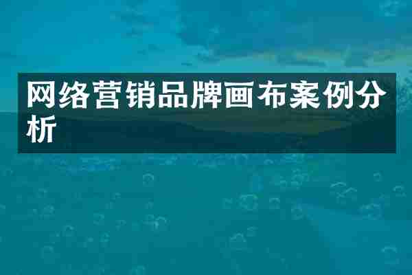 网络营销品牌画布案例分析