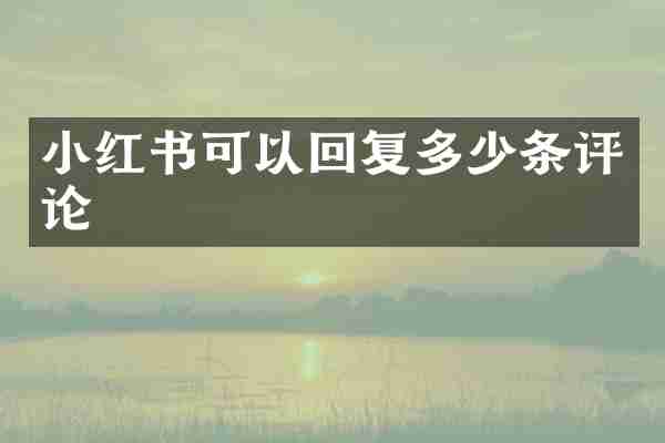 小红书可以回复多少条评论