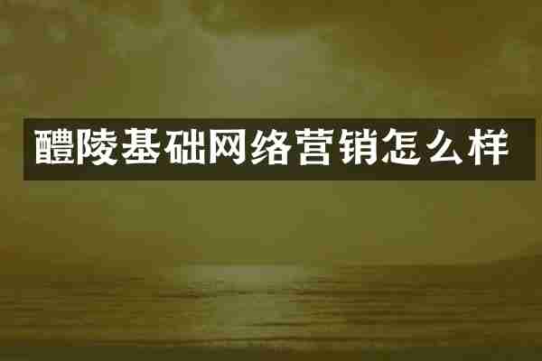 醴陵基础网络营销怎么样