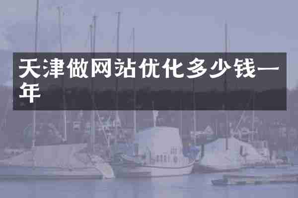 天津做网站优化多少钱一年