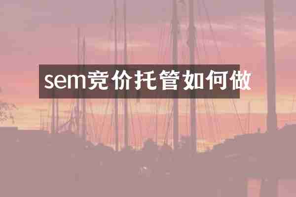 sem竞价托管如何做