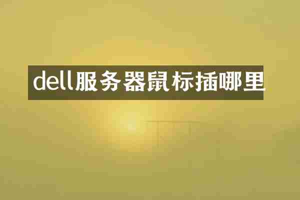 dell服务器鼠标插哪里