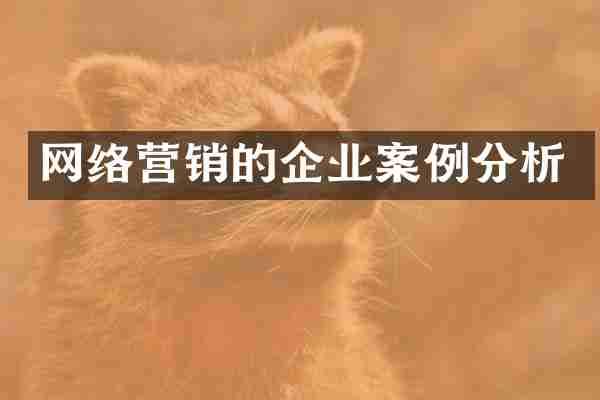 网络营销的企业案例分析