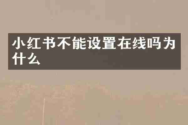 小红书不能设置在线吗为什么