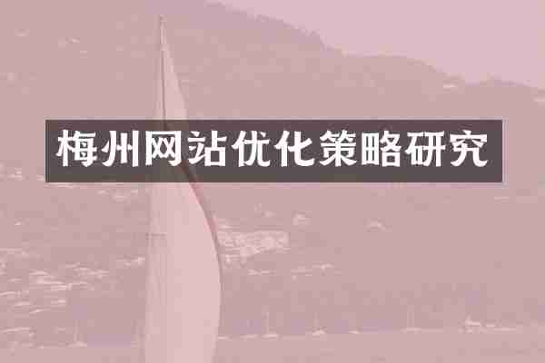 梅州网站优化策略研究
