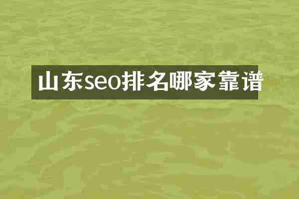 山东seo排名哪家靠谱