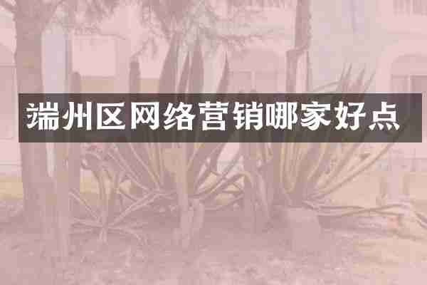 端州区网络营销哪家好点