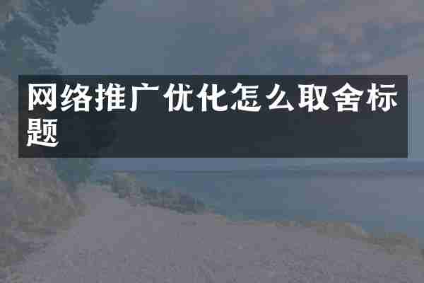 网络推广优化怎么取舍标题