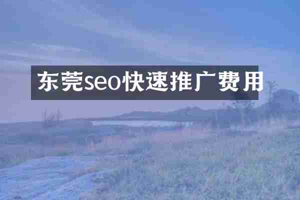 东莞seo快速推广费用