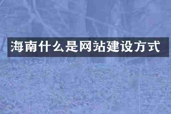 海南什么是网站建设方式